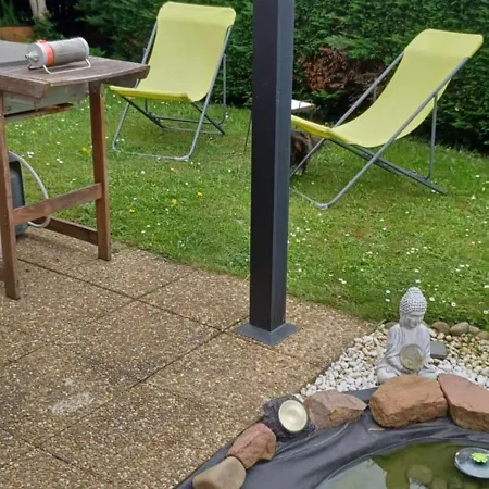 Chez Serge Et Francine 3* Horbourg